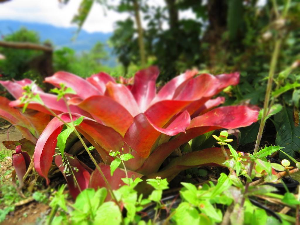Rinconcito Verde Ujarras ภายนอก รูปภาพ