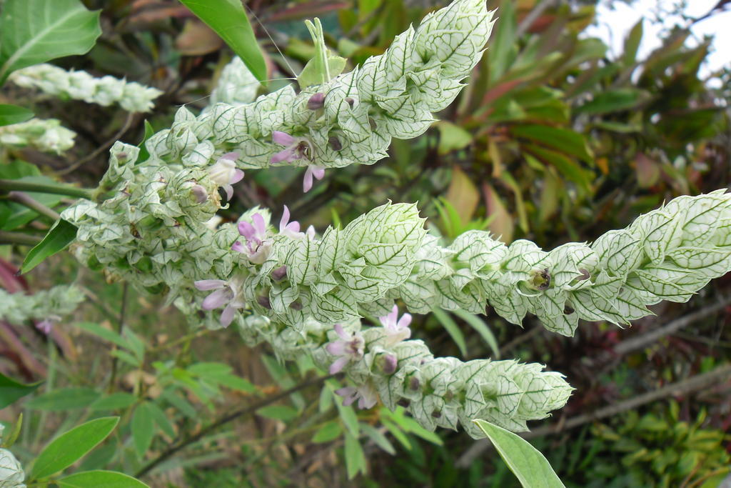 Rinconcito Verde Ujarras ภายนอก รูปภาพ