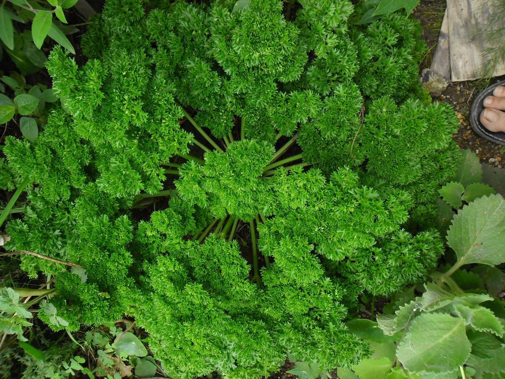 Rinconcito Verde Ujarras ภายนอก รูปภาพ