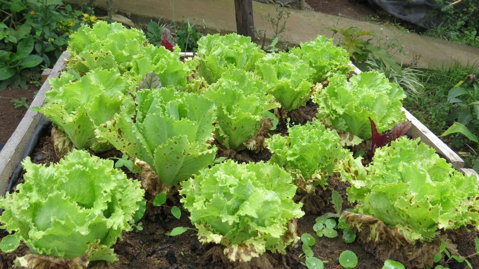 Rinconcito Verde Ujarras ภายนอก รูปภาพ